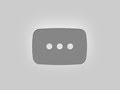 USA vs NED Live Score, World Cup 2026: USA vs Netherlands Live Cricket Match Today