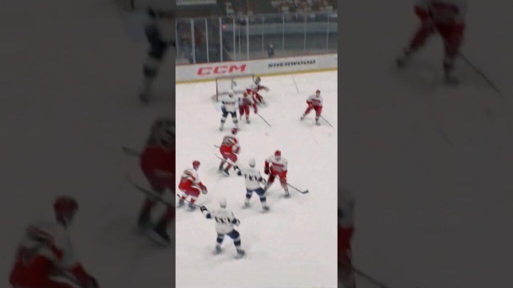 Denmark vs USA Ice Hockey: Full Match Highlights | 2026 Winter Olympics NHL Sim