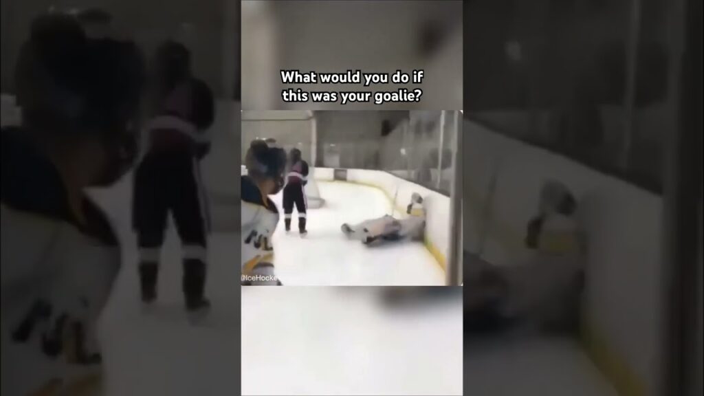 Why Indian Hockey Fans Always Support Their Goalies! #NHL #Shorts