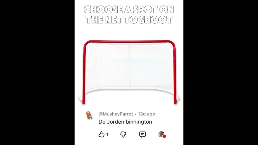 Jordan Binnington’s Epic Save: India’s Hockey Fans React! #Shorts #NHL